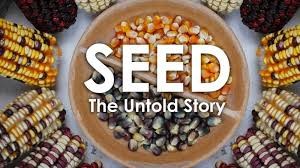 seedfilm