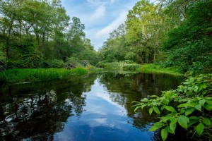 Pawcatuck River (c) Ayla Fox for The Nature Conservancy