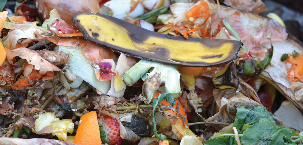 No Compost Bin? No Problem: An Alternative Way to Turn Your Food Scraps ...